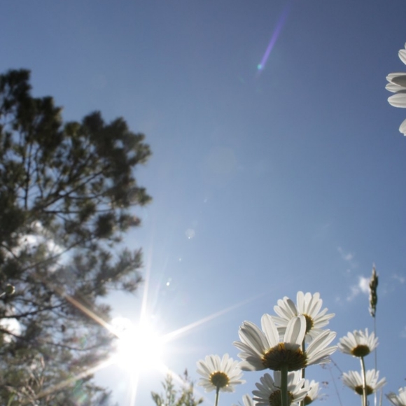 Meet your Posher, Tara - Picture 3 of 4